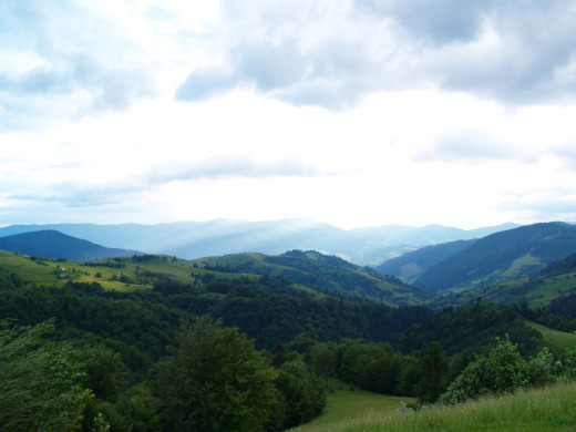 31189 (a): :1600x1200